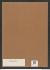 Coscinodiscus sp. (de-Toni-Nr.: Genus 202) Zeichnungen Sammlung Grunow Mappe 04926 (Herbarium_W_Grunow_drawings_Folder_04926)